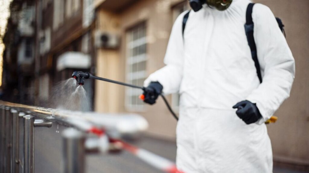 Why Carolina Exterminating is Your Go-To Solution for Pest Control