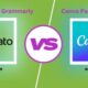 envato grammarly canva package